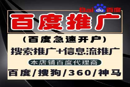 实战技巧：竞价推广案例解析与效果评估